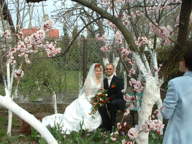 A gdyby tak siatke... pomalowac?